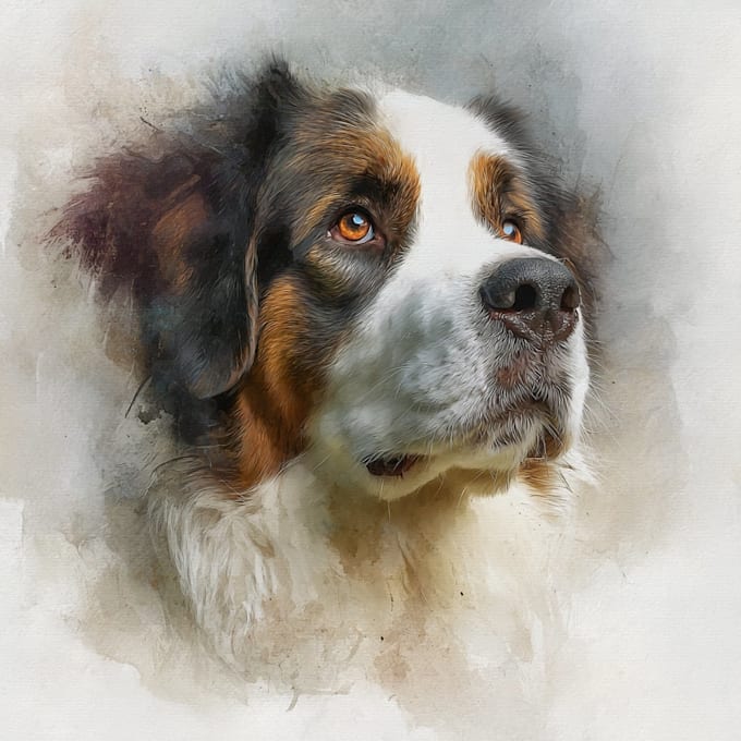 make custom pet portrait, digital pet, pet drawing
