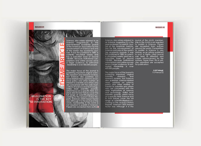 do pro layout design with indesign illustrator and canva