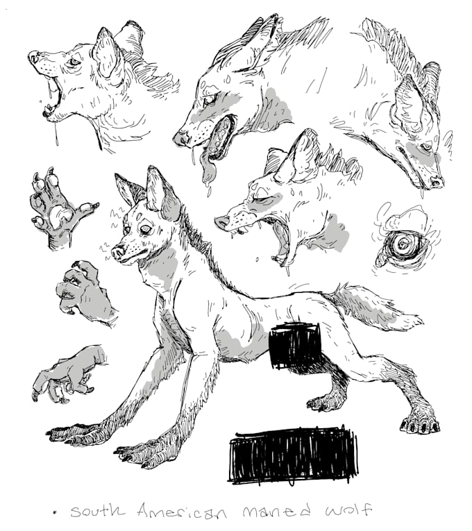 create furry and artho character art and design