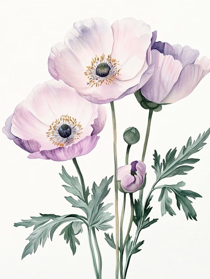 create watercolour botanical illustrations