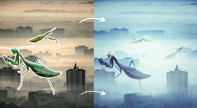 do image editing and photo manipulation