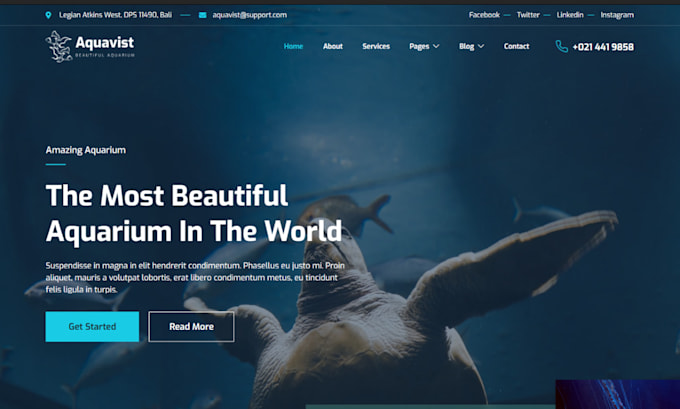 design aquarium website fish store shopify aquarium ecommerce website