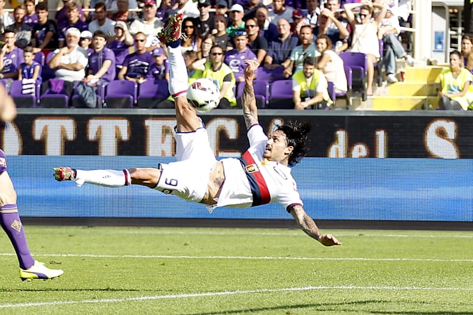 write engaging sports articles and match summaries