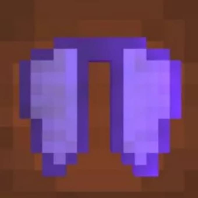 give you an elytra on donut smp
