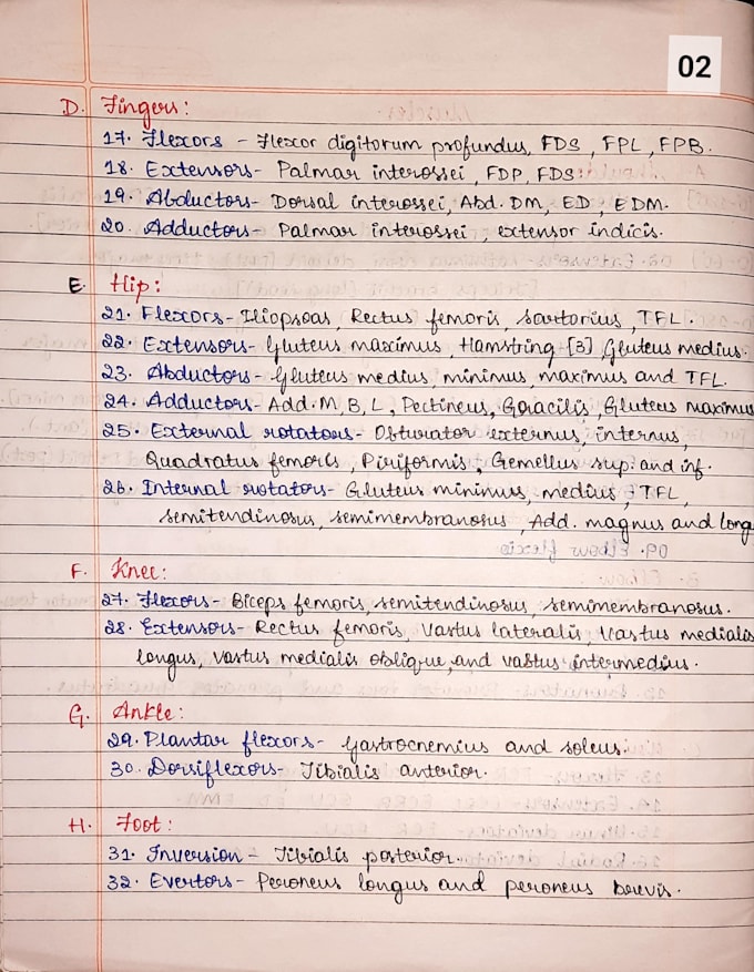 create neat handwritten notes