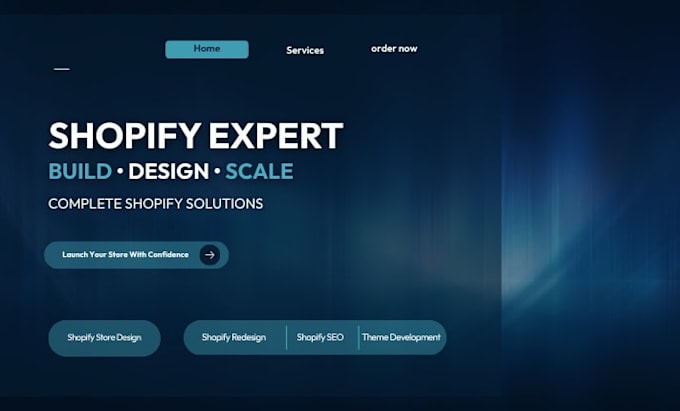 build shopify dropshipping business, ecommerce shopify store