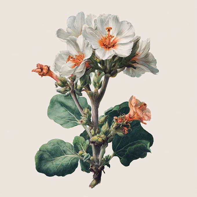 draw realistic botanical art with precision