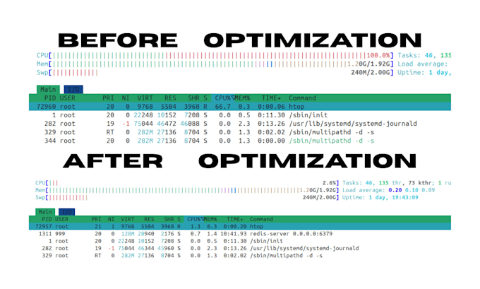 optimize your server performance, speed, and stability