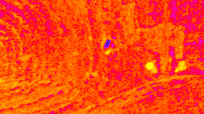 detect buried archaeological sites and ancient structures using remote se
