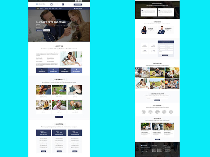 design and develop responsive wordpress website design