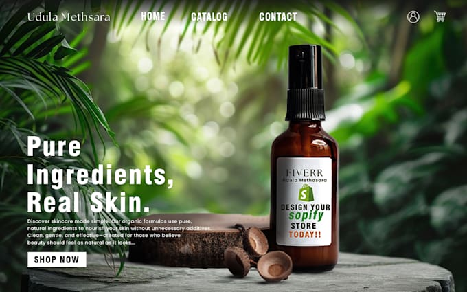 design shopify store, dropshipping store, graphic design