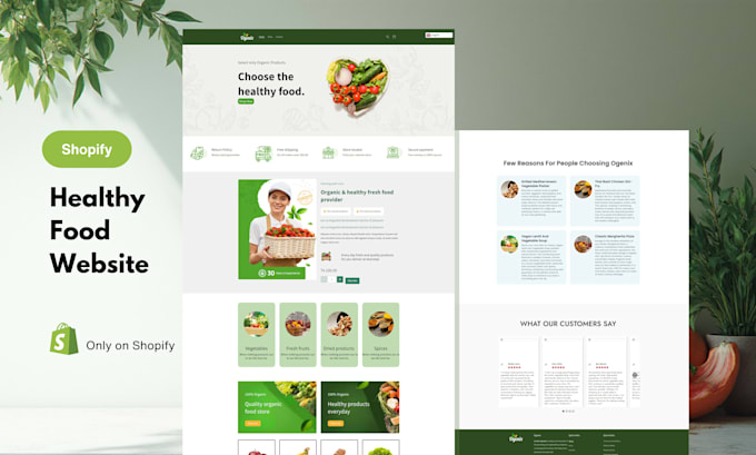 build shopify store design, shopify dropshipping store, shopify website