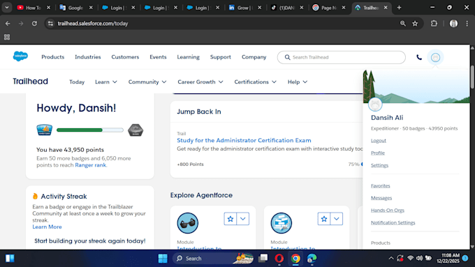 salesforce admin and development