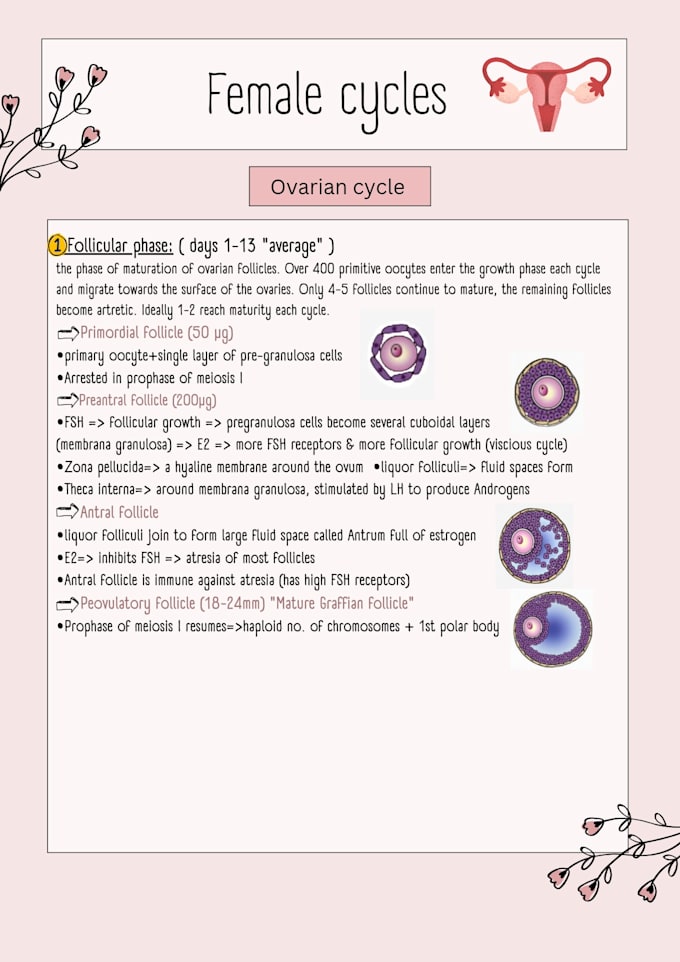 summarize your medical lessons with a perfect photo memory