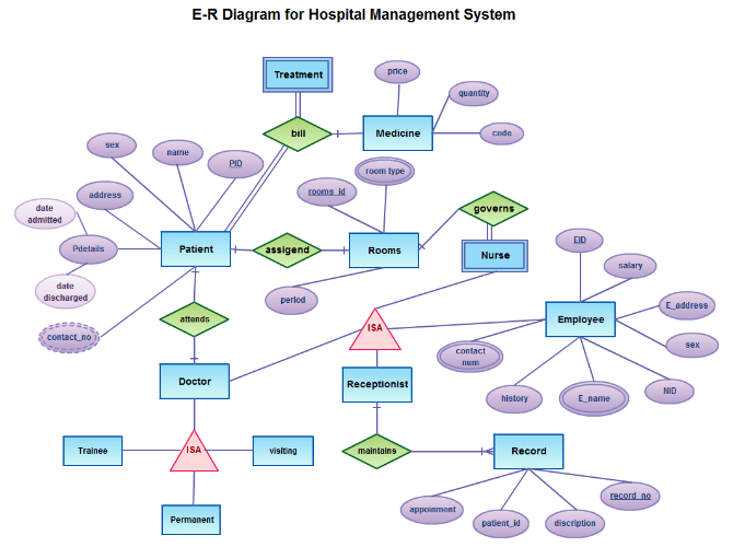 Draw entity relationship diagram well by keedskrish123 fiverr