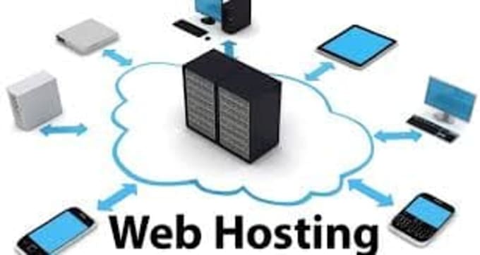 host a website on a server preferably linux using a web server of your choice