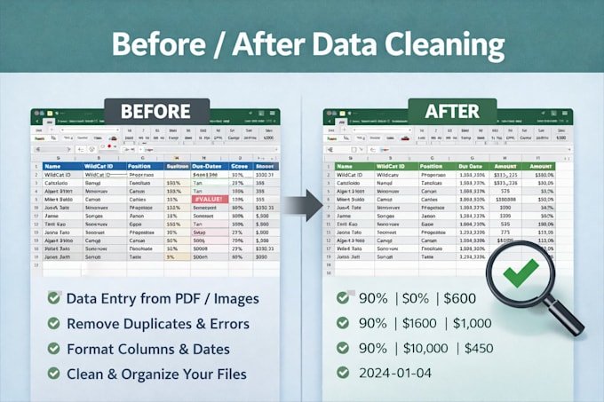 do accurate data entry and excel data cleaning in 1 day