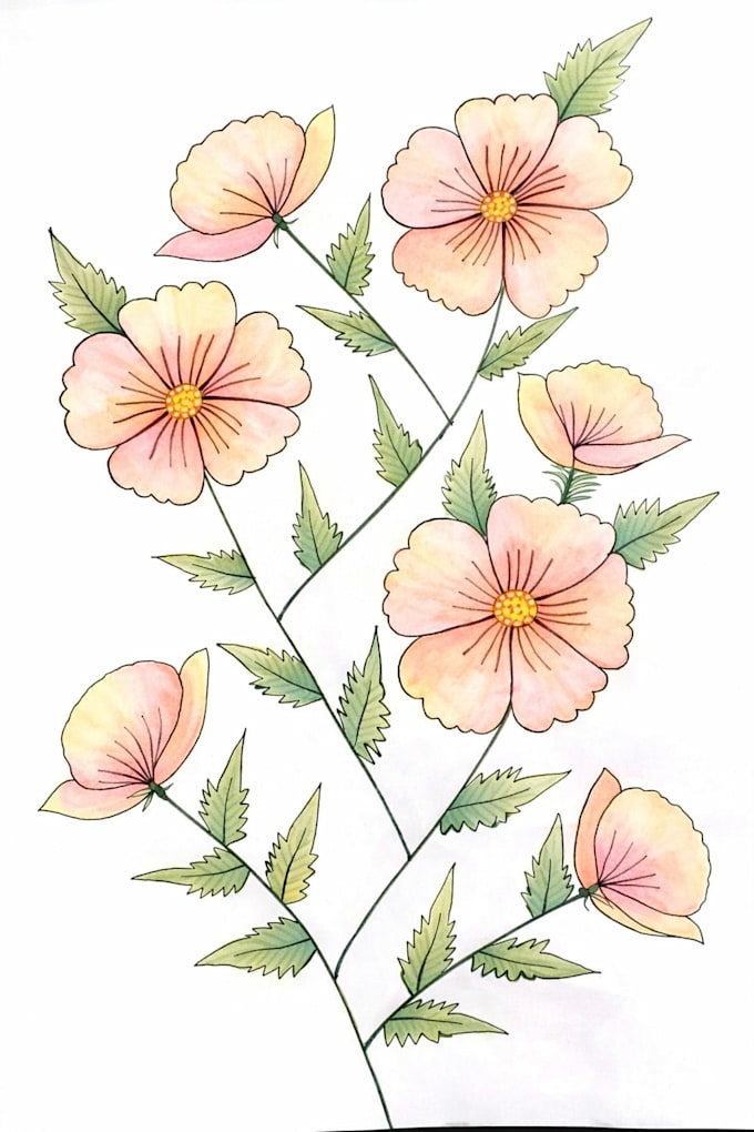 draw hand drawn pencil floral illustration