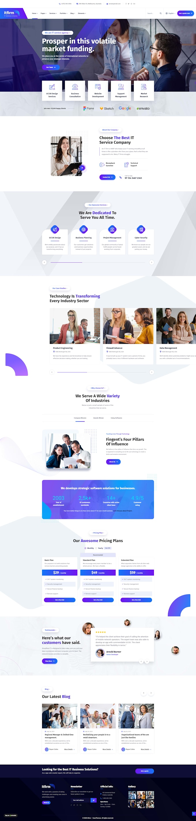 design and develop a professional wordpress website and blog