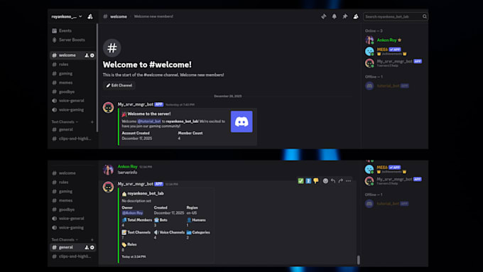 develop custom discord bots in python for your server