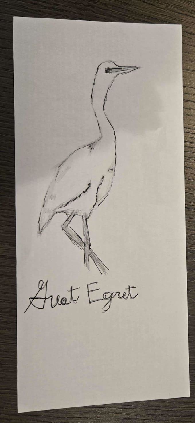 draw you a bird