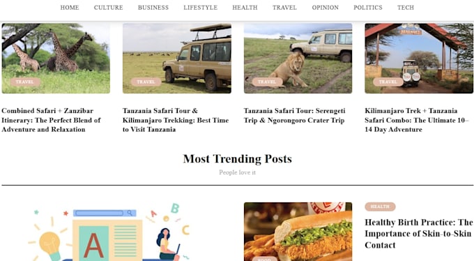 do guest post on nerdbot,com programminginsider,com artdaily,com
