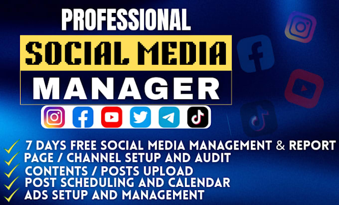 upload, optimize and schedule your youtube videos professionally