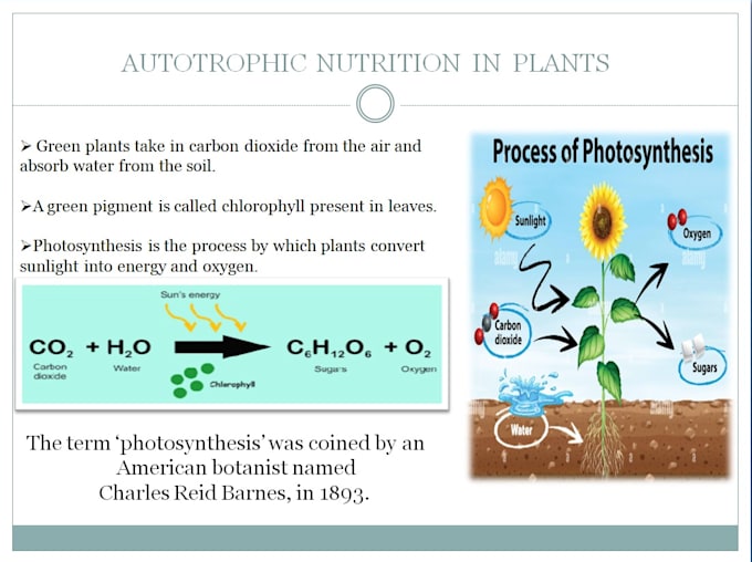 design professional powerpoint presentations and slides