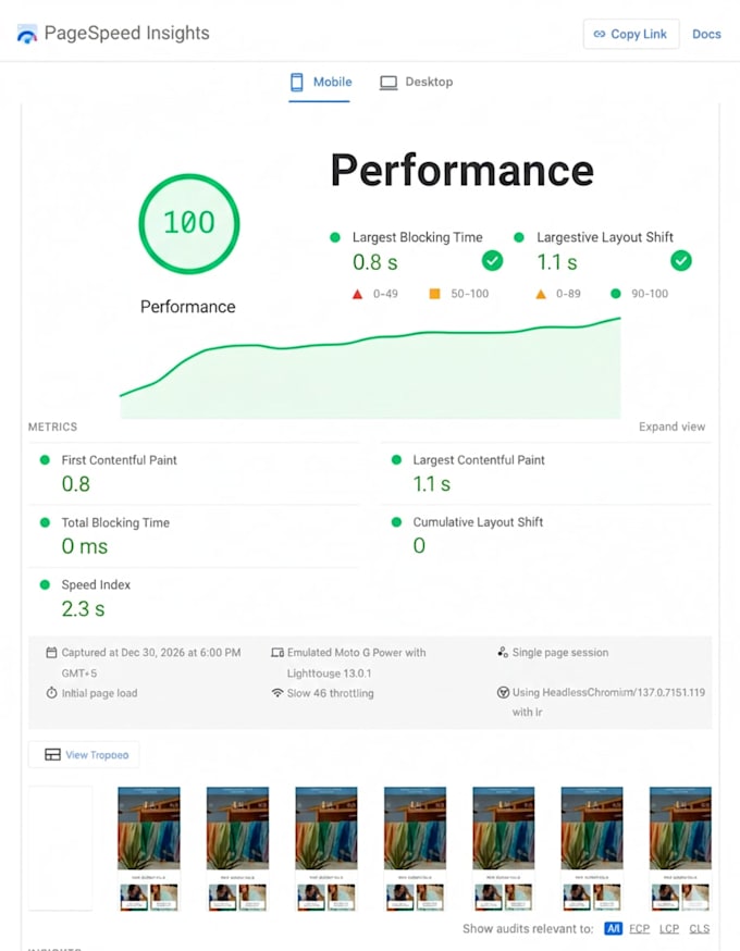 fix shopify speed and optimize lighthouse score for you