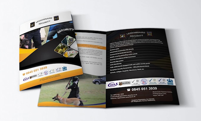 design trifold brochure, company profile, pdf lead magnet, presentation