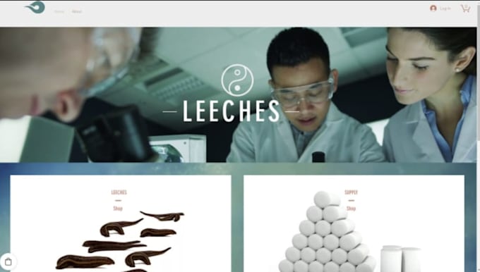 create a responsive and functional website