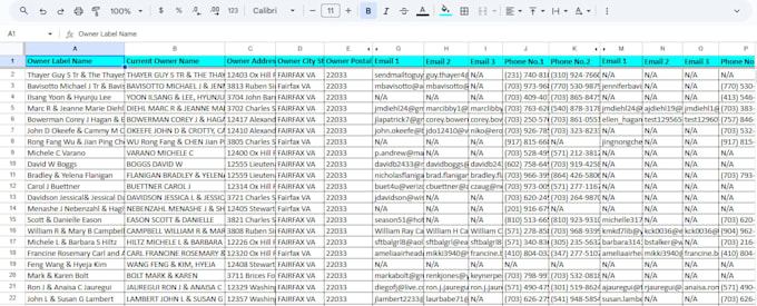 do data entry, copy and paste, and email list building