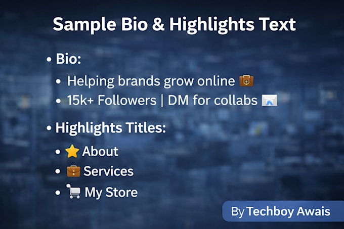 write professional instagram bio and highlights text