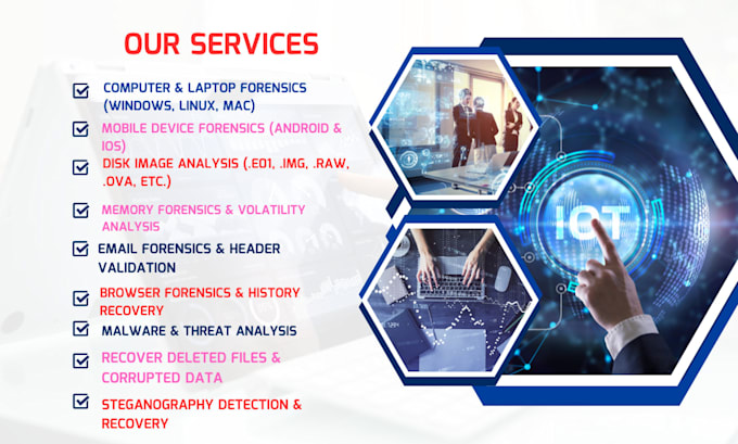 do digital forensics, cybercrime investigation, malware analysis and osint