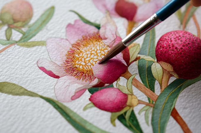 illustrate outstanding botanical illustration