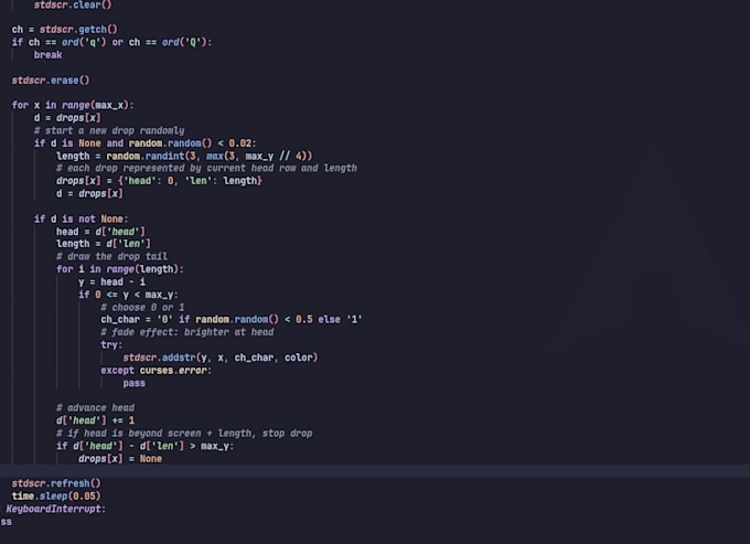 can do python coding