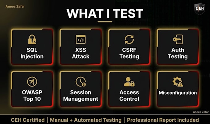 perform web application penetration testing and security audit