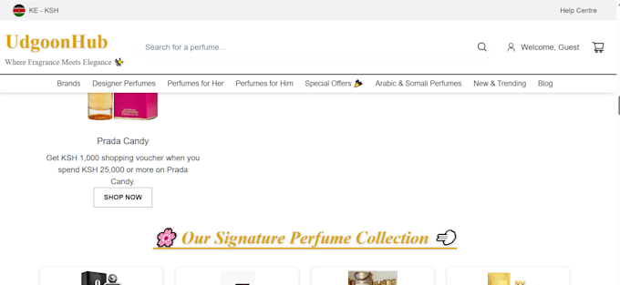 build a responsive website or portfolio