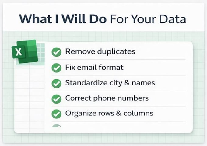 clean, format and organize excel data professionally