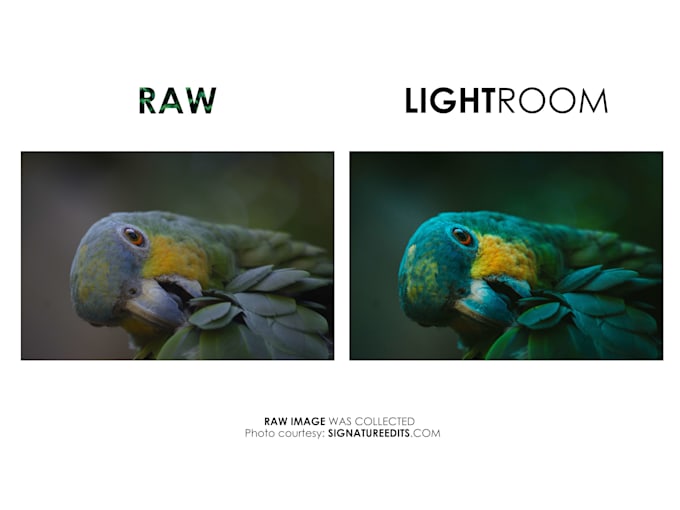 edit your photos in adobe lightroom