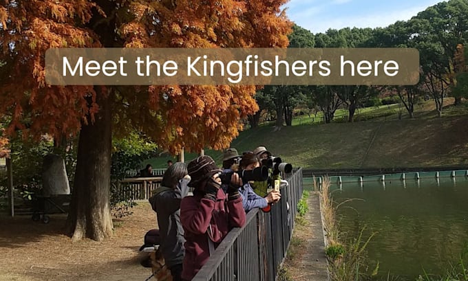 plan a birdwatching trip in osaka, japan