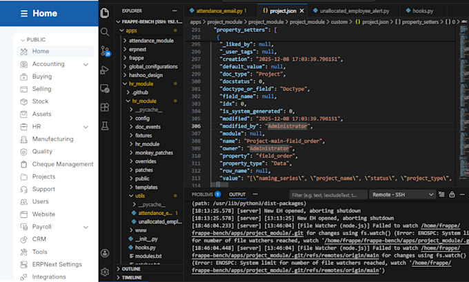 do erpnext installation, customization and API integration