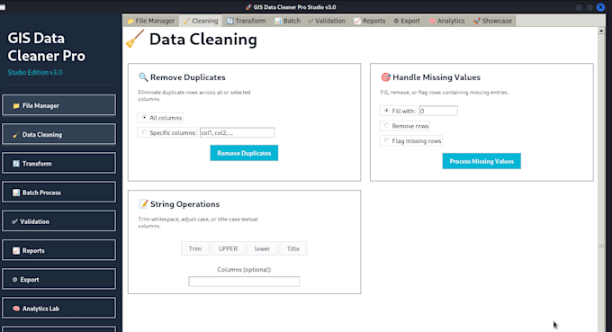 professionally clean, format, and automate your excel data