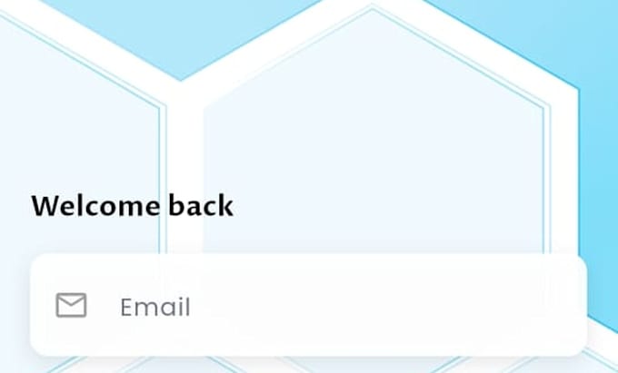 develop a flutter mobile app and angular web application
