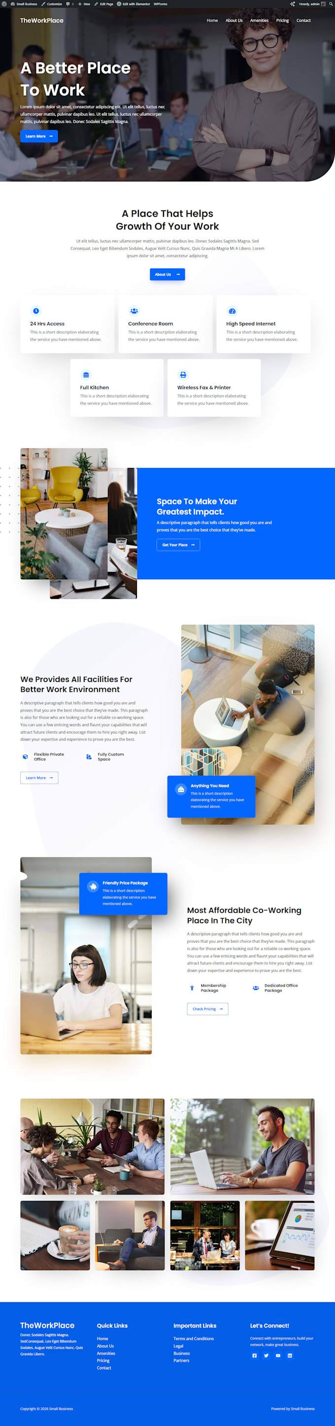 install and customize your wordpress theme professionally