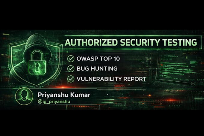 perform professional web application penetration testing and bug hunting