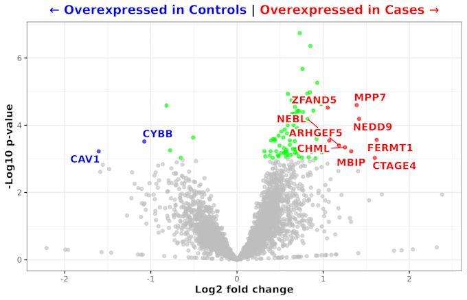 analyze your bulk rna seq data and deliver clear, publication ready results