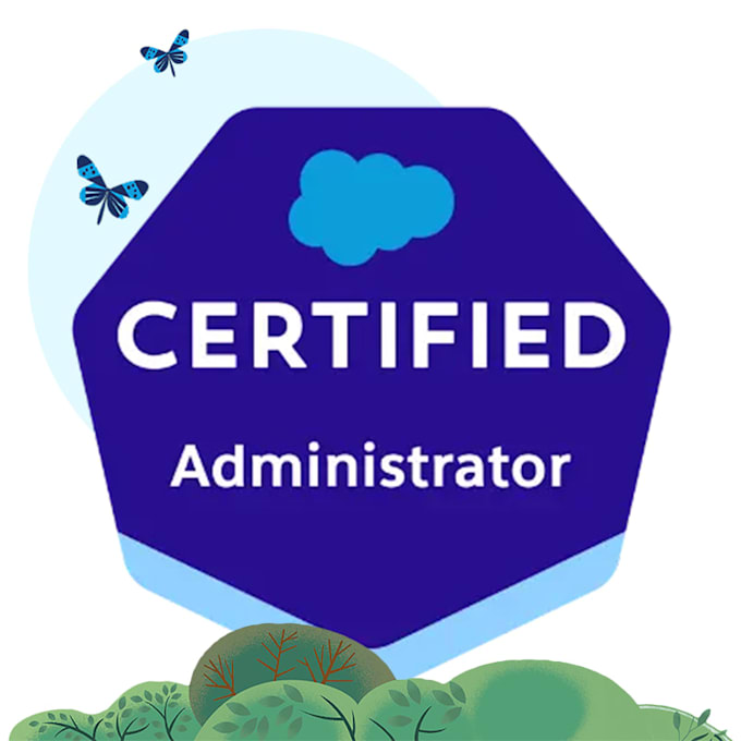 be your salesforce admin and developer for any configuration and development