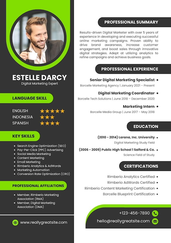 provide professional resume writing ats friendly CV service
