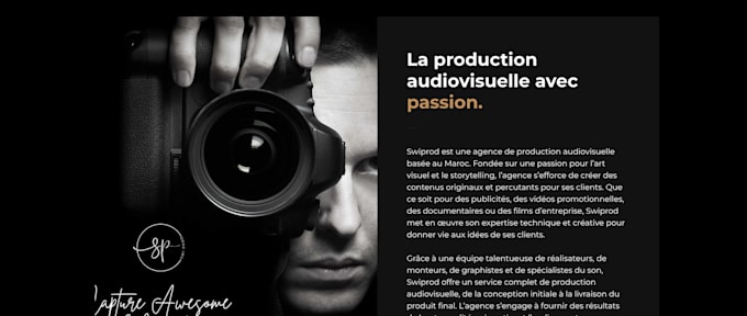 develop your professional website with wordpress